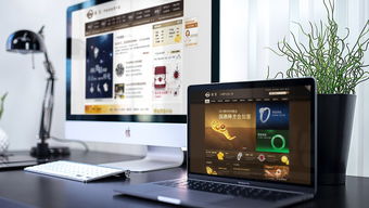 菜百商城電商開發(fā) 品牌推廣 整合營(yíng)銷 易龍?zhí)? class=