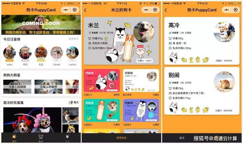 寵物商城小程序制作開發(fā)最快多久能上線