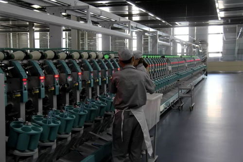 清河羊絨產(chǎn)業(yè)邁向有機(jī)智能高端化