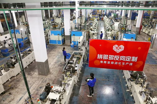 拼完手機(jī)拼家電 報(bào)告顯示近九成消費(fèi)者認(rèn)為拼多多能滿足日常所需