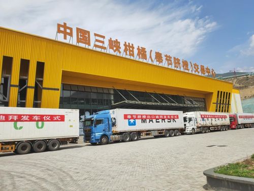 金橙飄香拓眼界 重慶奉節(jié)品牌添翼，促產業(yè)煥發(fā)新機